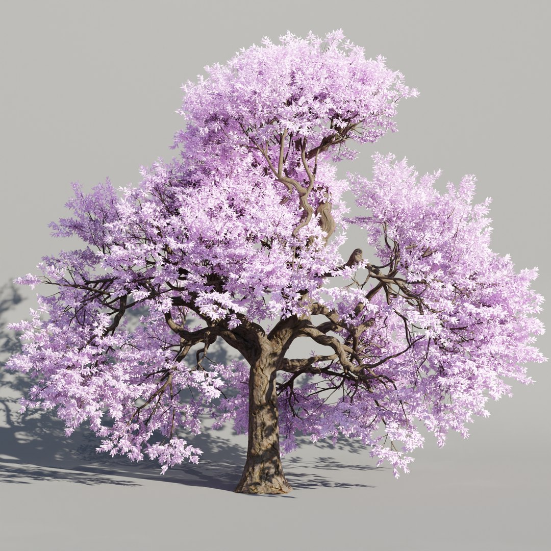 Cherry Blossom Tree Vol 199-Blender-3dmodel 3D Model - TurboSquid 2173393