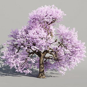 Cherry blossom tree vol 199-Blender