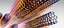 Graphene nanotube