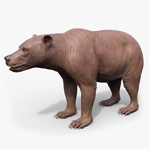 3D bear animal beast