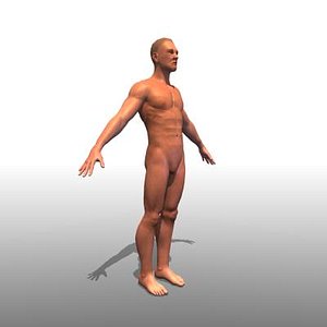 3d max human man