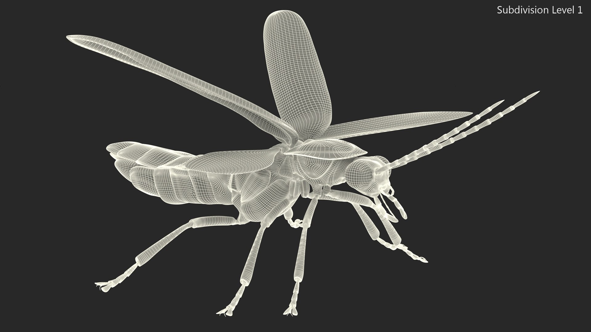 Eastern Firefly Rigged 3D model https://p.turbosquid.com/ts-thumb/9J/lVbM08/9s/easternfireflyriggedc4dmodel035/jpg/1705618414/1920x1080/fit_q87/cf33056a5b268b599994d7b14d258eabbcbbc35a/easternfireflyriggedc4dmodel035.jpg