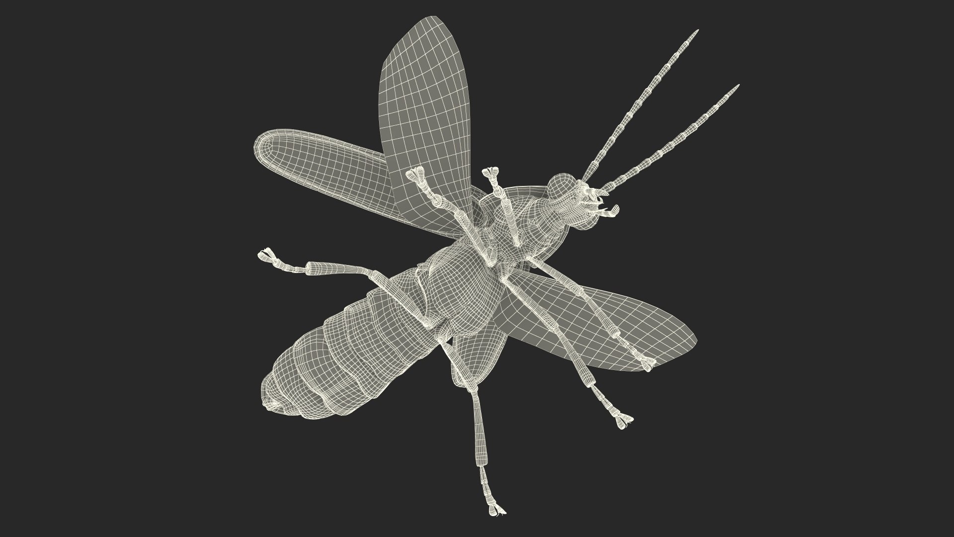 Eastern Firefly Rigged 3D model https://p.turbosquid.com/ts-thumb/9J/lVbM08/BY/easternfireflyriggedc4dmodel041/jpg/1705618448/1920x1080/fit_q87/77356cd0a456ad89f635653c029f443533c2508e/easternfireflyriggedc4dmodel041.jpg