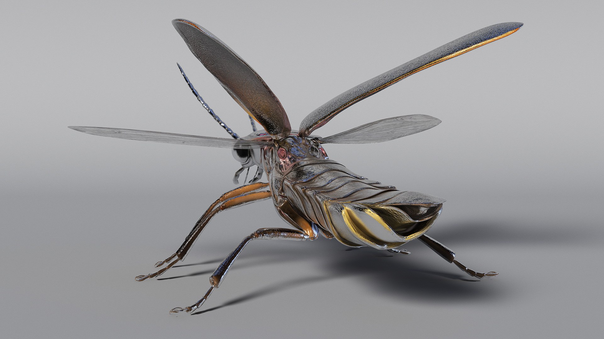 Eastern Firefly Rigged 3D model https://p.turbosquid.com/ts-thumb/9J/lVbM08/DY/easternfireflyriggedc4dmodel014/jpg/1705618311/1920x1080/fit_q87/1fdbf8ef94985cf9d8663f1884b8dffd4ec0a940/easternfireflyriggedc4dmodel014.jpg