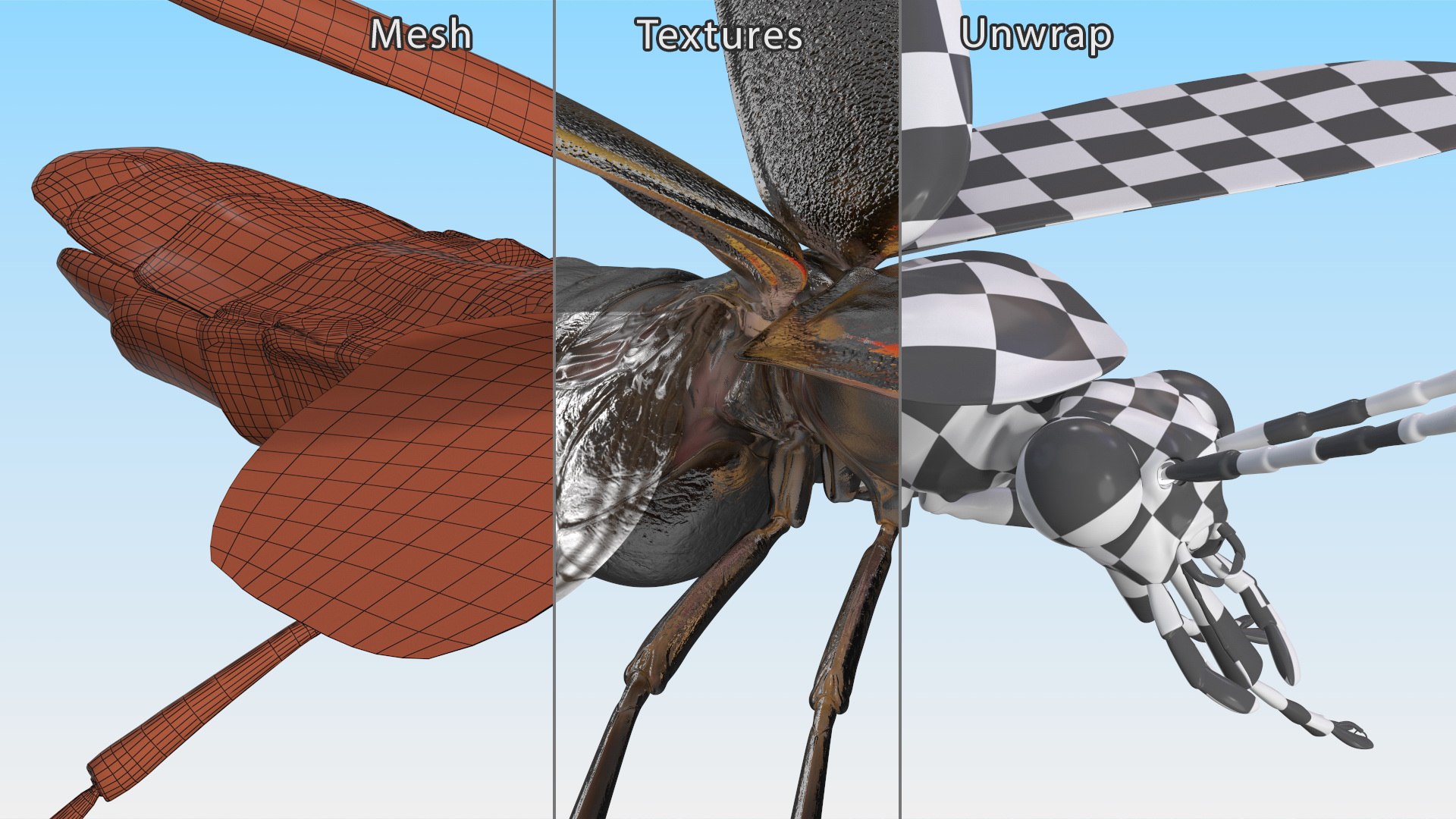 Eastern Firefly Rigged 3D model https://p.turbosquid.com/ts-thumb/9J/lVbM08/Qt/easternfireflyriggedc4dmodel033/jpg/1705618404/1920x1080/fit_q87/b8d1a0235cfebc267ed5b8e1c2a7c0f28d8612ab/easternfireflyriggedc4dmodel033.jpg