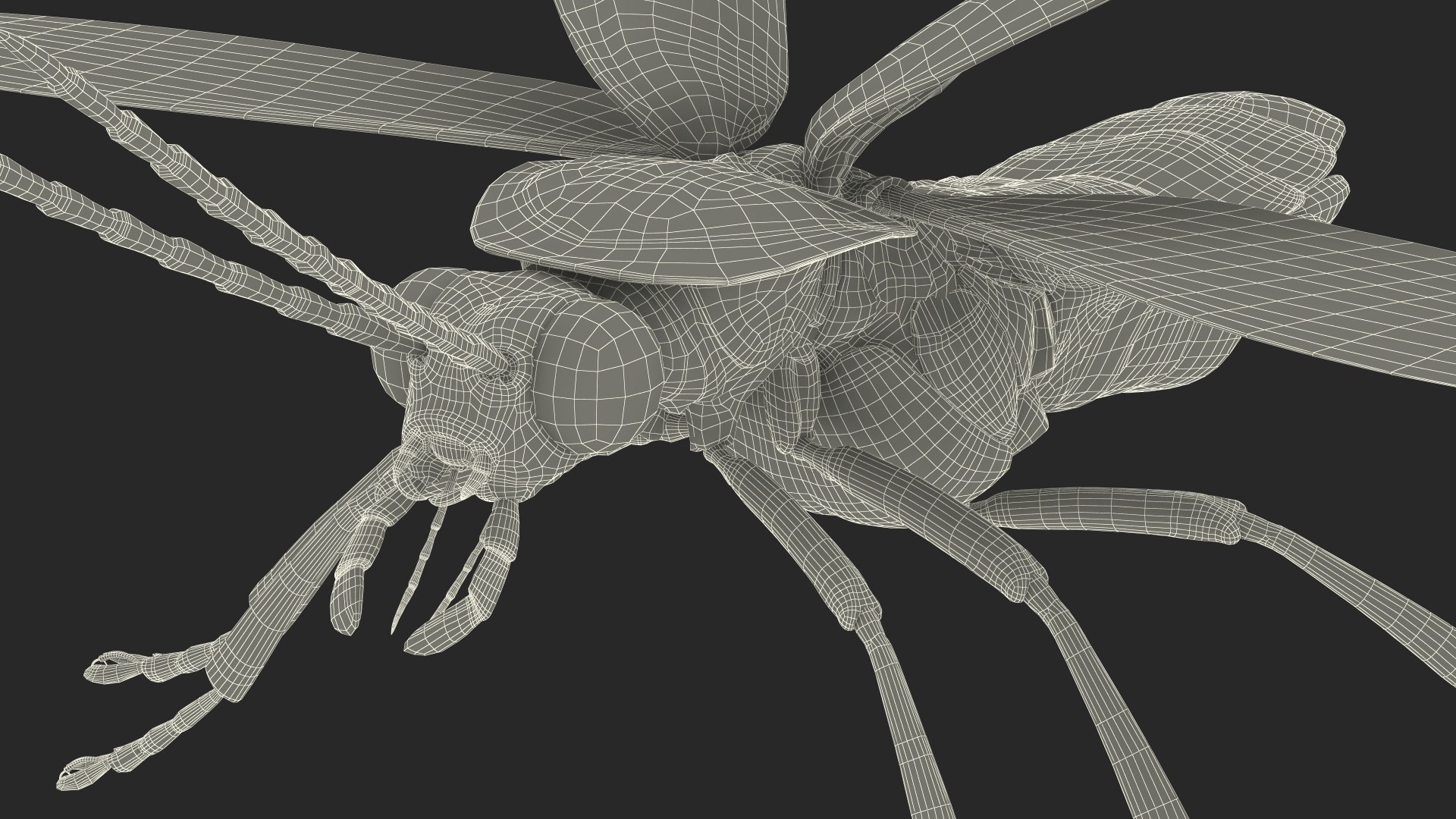 Eastern Firefly Rigged 3D model https://p.turbosquid.com/ts-thumb/9J/lVbM08/VJ/easternfireflyriggedc4dmodel044/jpg/1705618464/1920x1080/fit_q87/aea9e9494b074e4720c8bede2f5c93cb87d410c4/easternfireflyriggedc4dmodel044.jpg