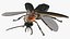 Eastern Firefly Rigged