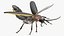 Eastern Firefly Rigged