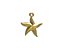 Starfish