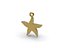 Starfish