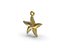 Starfish