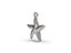 Starfish