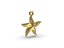 Starfish