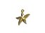 Starfish