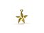 Starfish