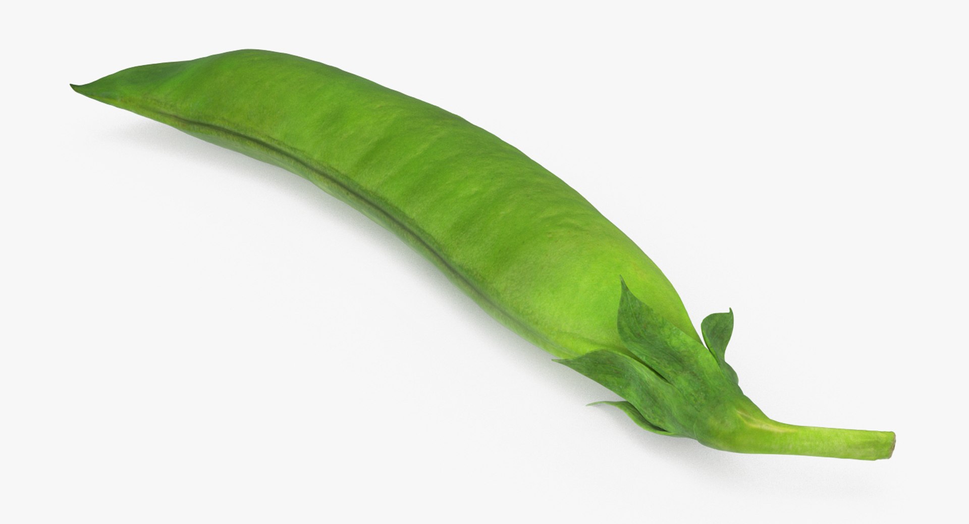 Vegetables Collection 5 3D model https://p.turbosquid.com/ts-thumb/9K/2SZTQ3/2N/vegetables_collection_5_014/jpg/1672234714/1920x1080/fit_q87/970d9fa9f4db382fb1b9580517b3e943dade5415/vegetables_collection_5_014.jpg