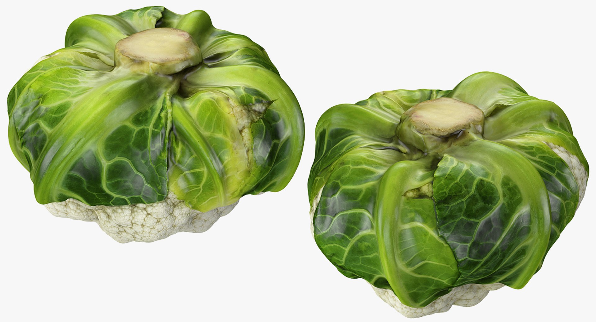 Vegetables Collection 5 3D model https://p.turbosquid.com/ts-thumb/9K/2SZTQ3/Kd/vegetables_collection_5_067/jpg/1672234743/1920x1080/fit_q87/4bcf767b8489d1941b37020d2bf479044715d8e4/vegetables_collection_5_067.jpg