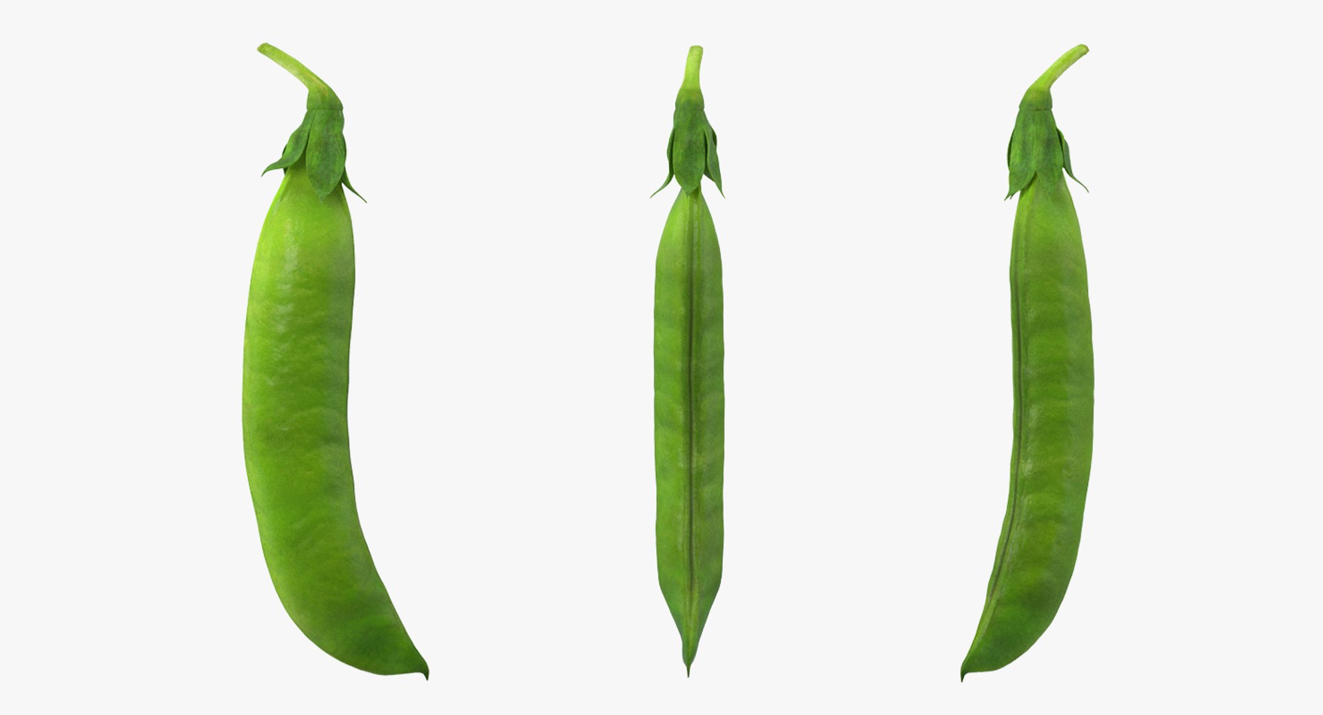 Vegetables Collection 5 3D model https://p.turbosquid.com/ts-thumb/9K/2SZTQ3/jQ/vegetables_collection_5_016/jpg/1672234715/1920x1080/fit_q87/b175a48e8c77744d1b66ae4b2733f3be3bd05729/vegetables_collection_5_016.jpg