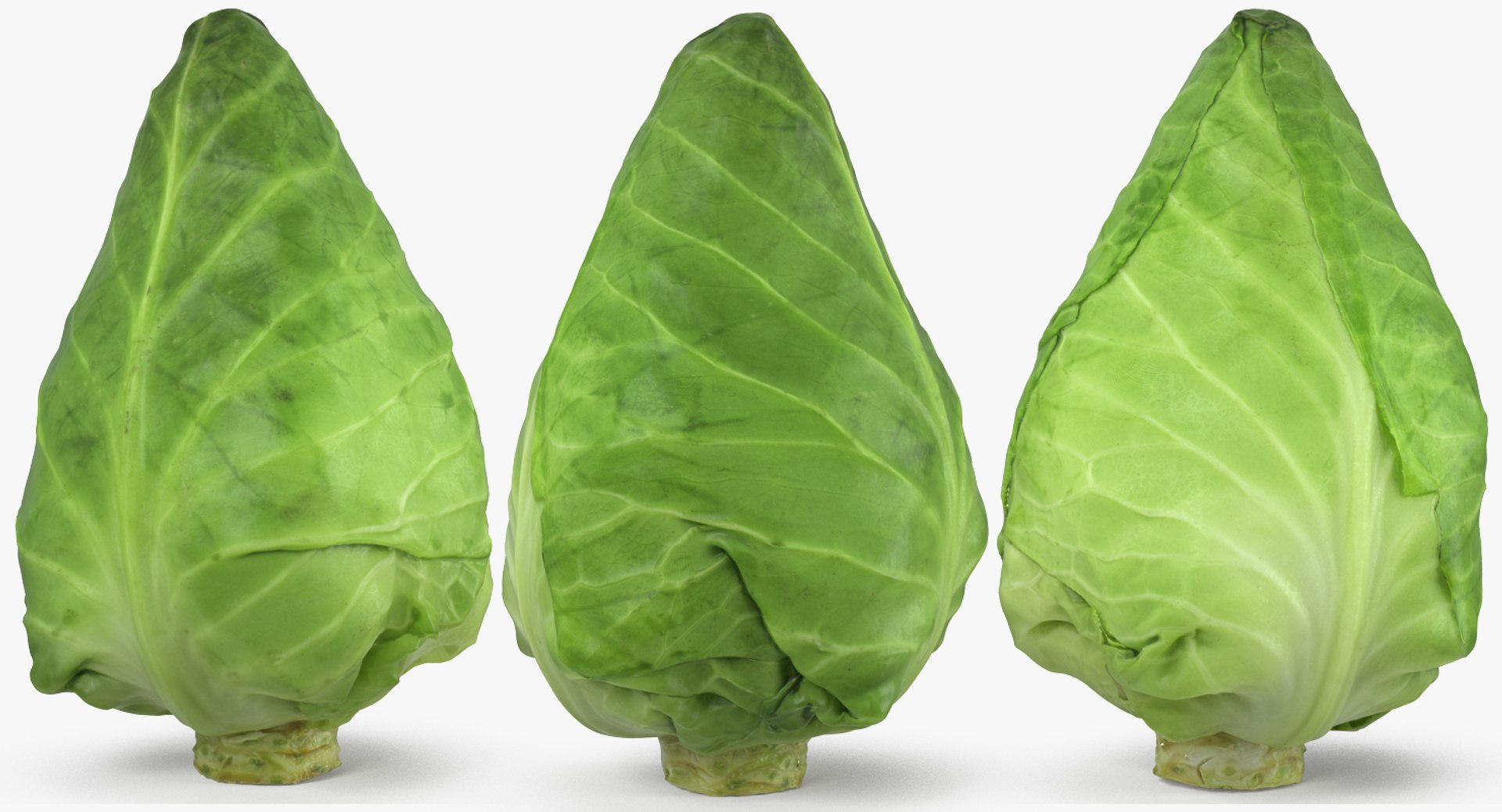 Vegetables Collection 5 3D model https://p.turbosquid.com/ts-thumb/9K/2SZTQ3/qi/vegetables_collection_5_114/jpg/1672234765/1920x1080/fit_q87/5139e14ebde3e5fcf0dc6138db1bfe54fd8fdc71/vegetables_collection_5_114.jpg