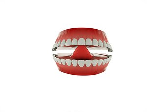 anatomy mouth 3D model