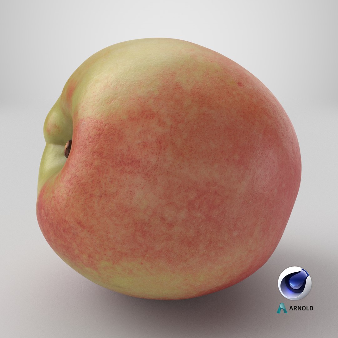 3D Peach 01 https://p.turbosquid.com/ts-thumb/9K/aMe8c6/3u/stemcell_cinema_4d_arnold_render/png/1727102857/1920x1080/fit_q87/288b5024b961e75d2a4b8a046b94dbc812edf289/stemcell_cinema_4d_arnold_render.jpg