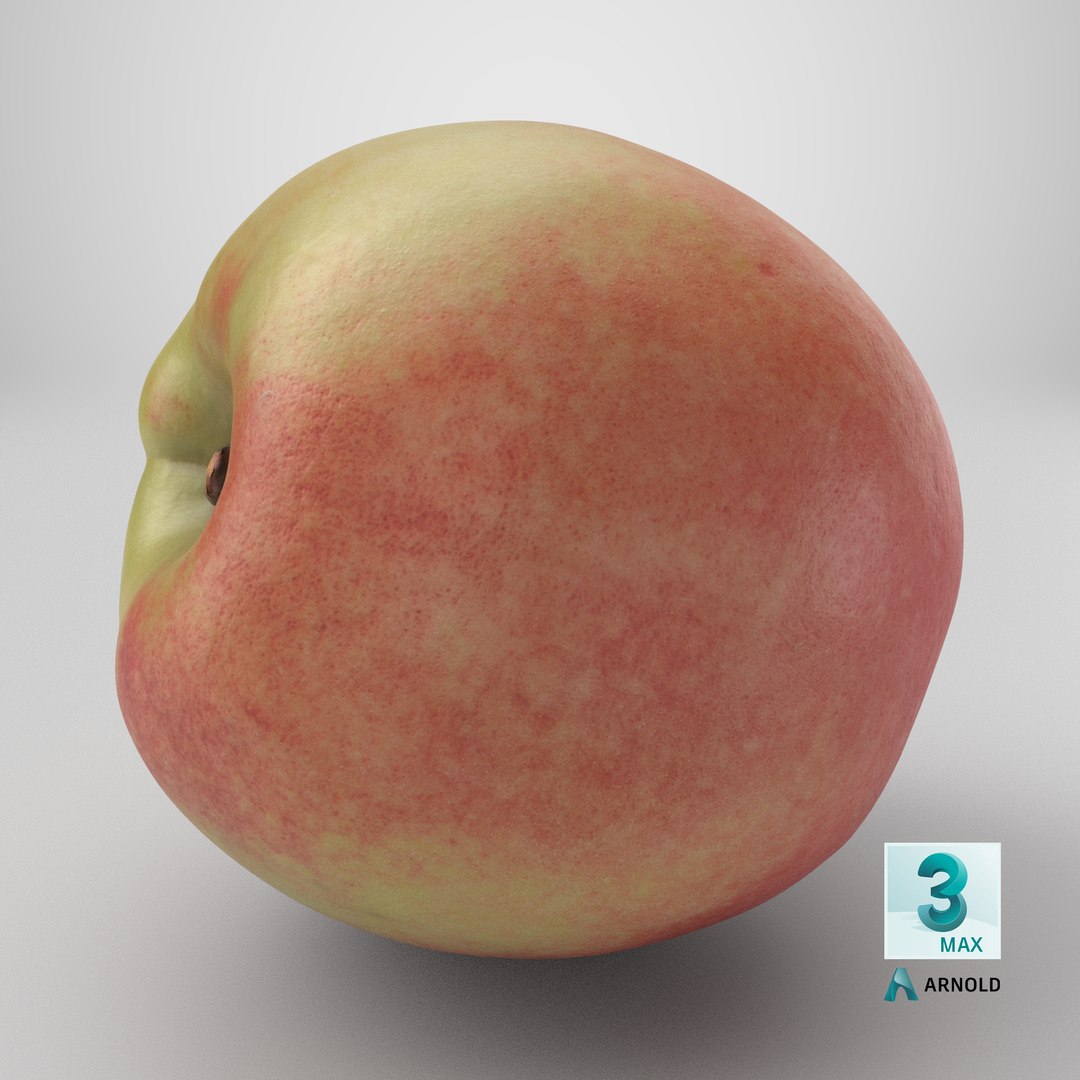 3D Peach 01 https://p.turbosquid.com/ts-thumb/9K/aMe8c6/YE/stemcell_max_arnold_render/png/1727102864/1920x1080/fit_q87/e4ea6516a7cc1844e3a4781a6818b7b77fa0d464/stemcell_max_arnold_render.jpg
