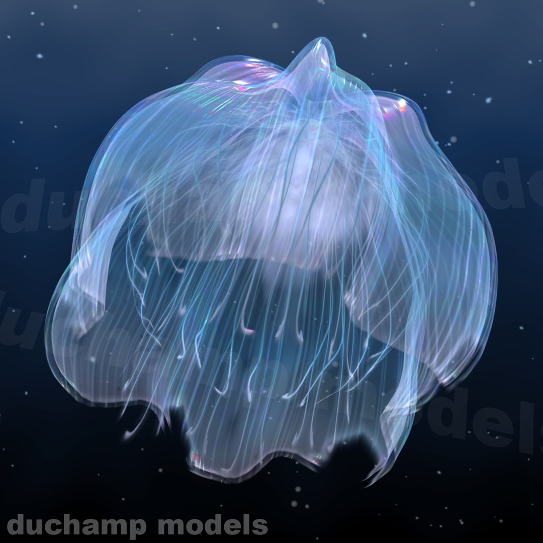 3ds max jellyfish animations https://p.turbosquid.com/ts-thumb/9K/ozgUDl/hZWjwItb/03/jpg/1315234623/1920x1080/fit_q87/5a403e36a550af139b240b2799d46c363f5ac01f/03.jpg