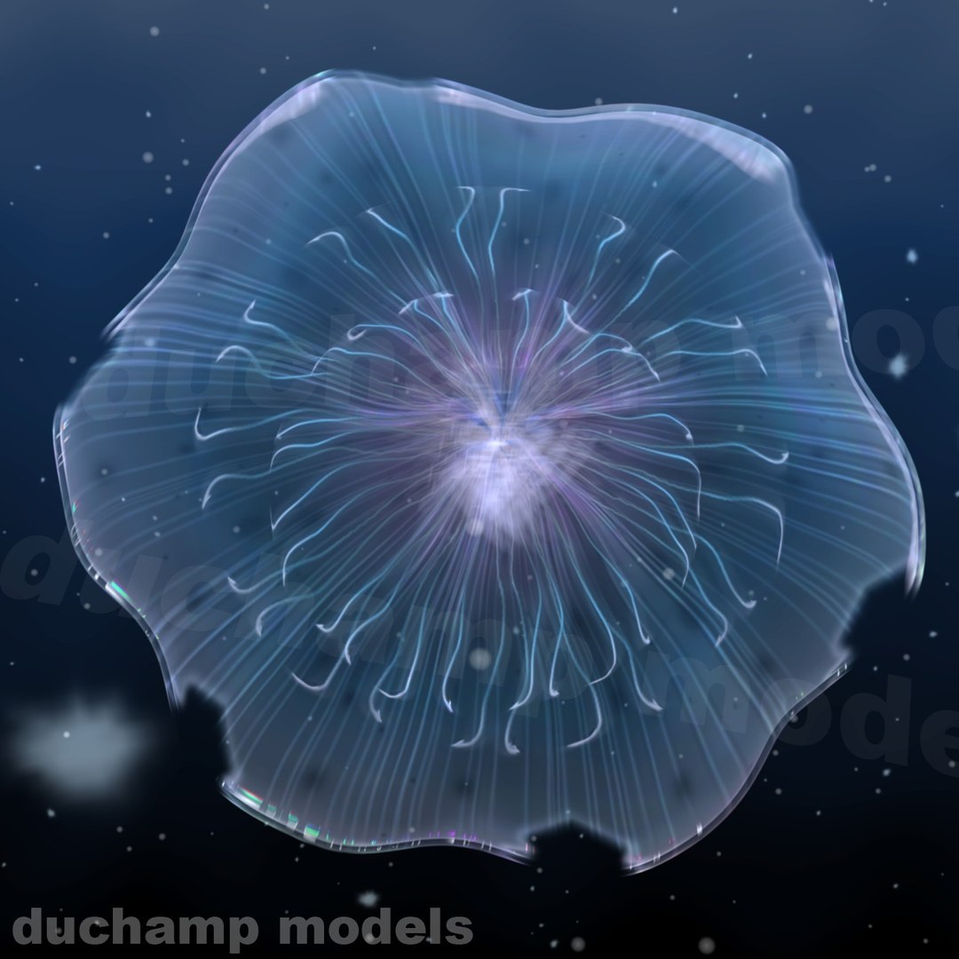 3ds max jellyfish animations https://p.turbosquid.com/ts-thumb/9K/ozgUDl/p0AU8OWg/04/jpg/1315234623/1920x1080/fit_q87/b9369e5e7159aa3e93247ecab39a125ca074a053/04.jpg