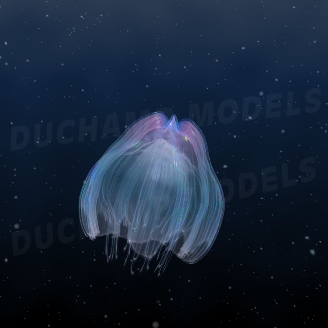 3ds max jellyfish animations https://p.turbosquid.com/ts-thumb/9K/ozgUDl/uH4iWeMX/jellifishb_01.jpgb65f849613124590a4e496c67ff2e234zoom/jpg/1315226965/1920x1080/turn_fit_q99/46b5644016f0ed2221ce168129a9699bc680935f/jellifishb_01.jpgb65f849613124590a4e496c67ff2e234zoom-1.jpg