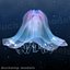 Animated Jellyfish