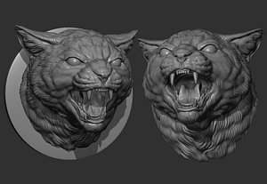 Cat grin head