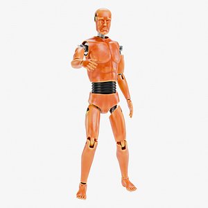 3D Dummy - Anthropomorphic Crash Test Device - Rigged