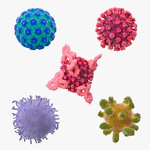 Human Viruses Collection 3 model