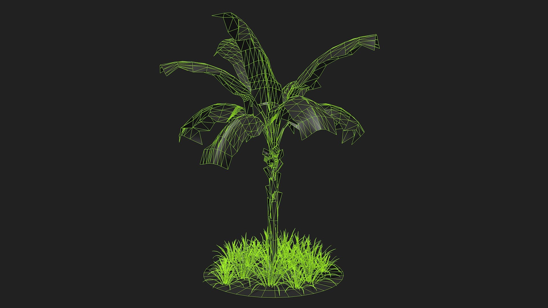 banan tree 3D model https://p.turbosquid.com/ts-thumb/9L/UIn4gr/8q/bananatree7/jpg/1616518013/1920x1080/fit_q87/ae7804507c4c9d3952f6cad42a93aa31fd6e6b98/bananatree7.jpg
