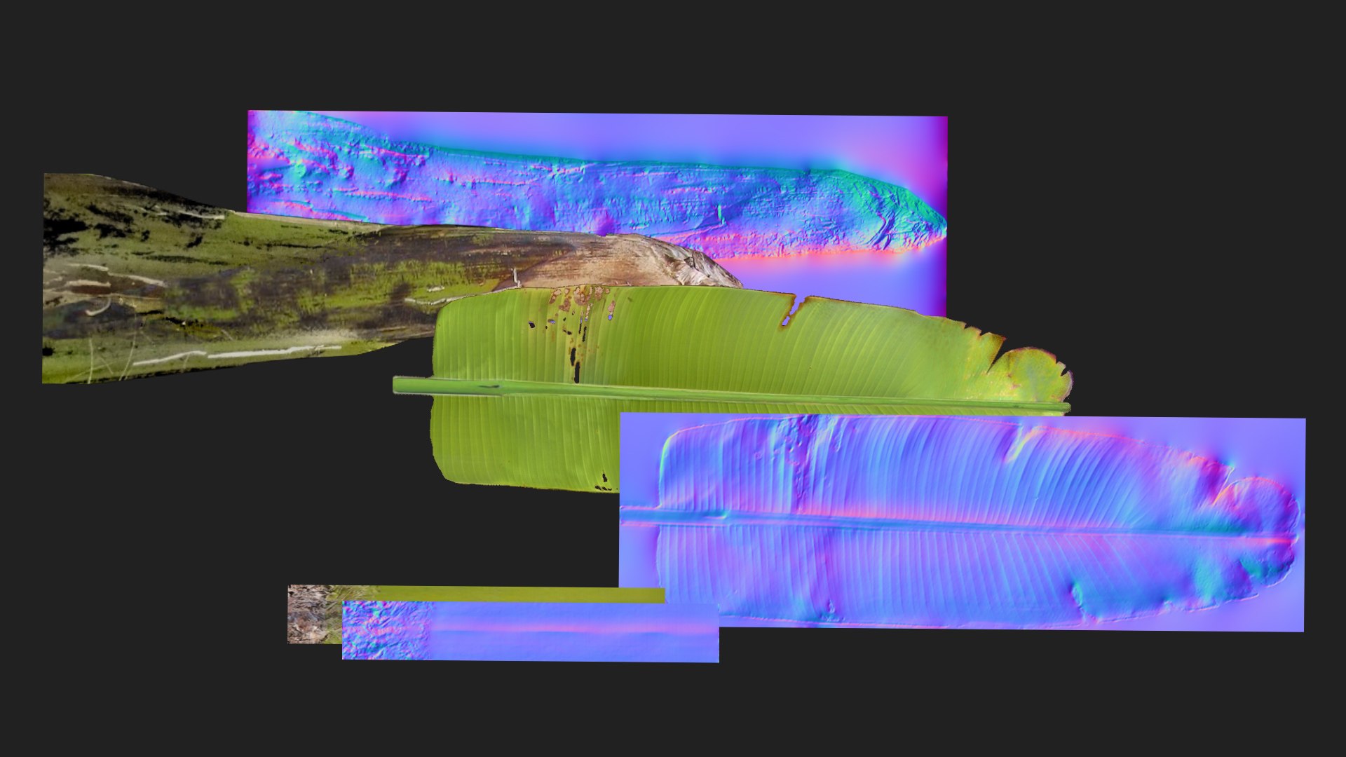 banan tree 3D model https://p.turbosquid.com/ts-thumb/9L/UIn4gr/Qg/bananatree99/jpg/1616518013/1920x1080/fit_q87/203be0f1e4b6d1fd05b922a2bb09f55fa661fc1d/bananatree99.jpg