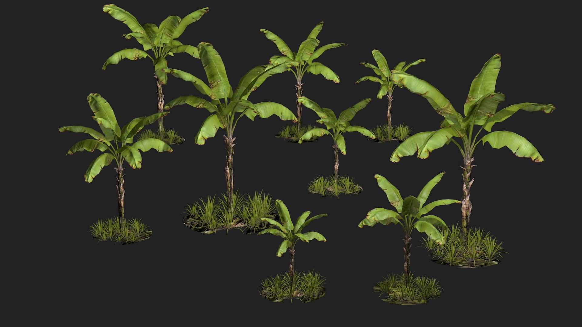 Banan Tree 3D Model - TurboSquid 1709551