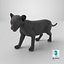 Baby Black Panther Cub