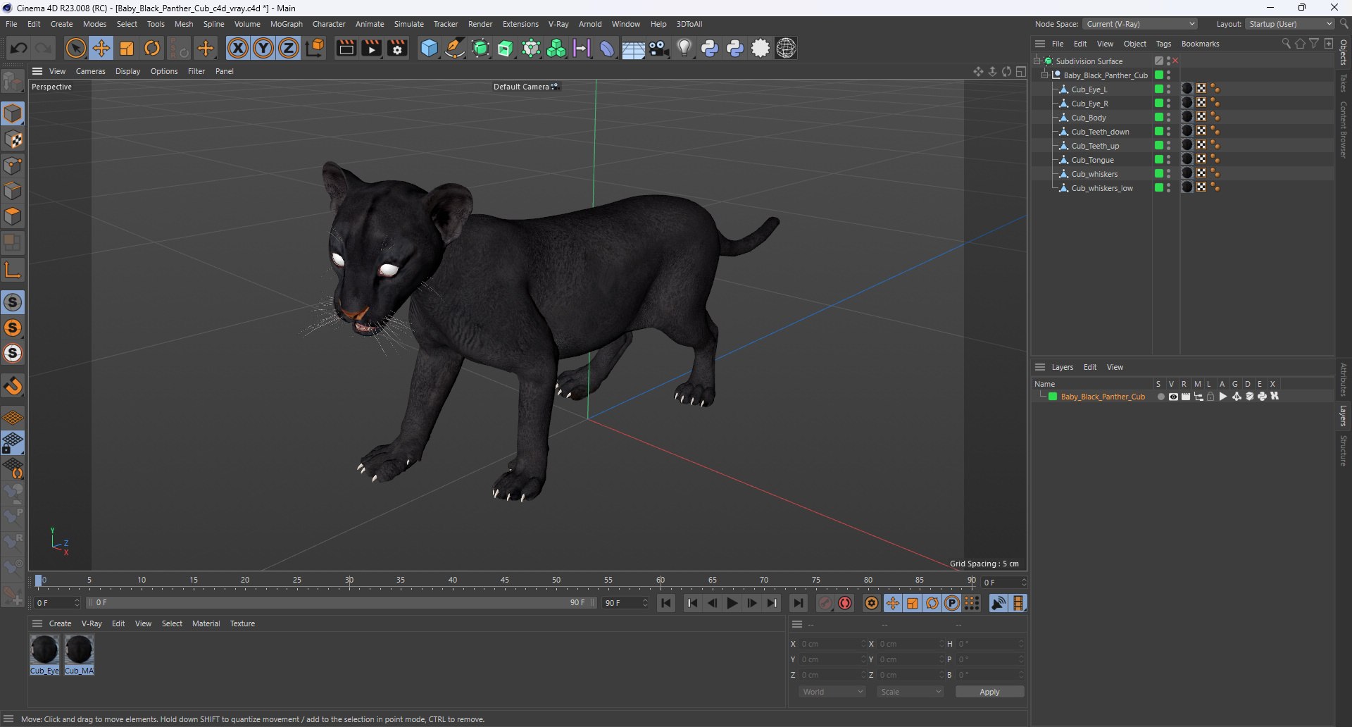 Baby Black Panther Cub 3D model https://p.turbosquid.com/ts-thumb/9L/d2Ks01/2F/baby_black_panther_cub_1004/jpg/1736848866/1920x1080/fit_q87/ec86a5a40633826bd04a9c93f9c24a8a4eb6859a/baby_black_panther_cub_1004.jpg