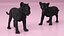 Baby Black Panther Cub