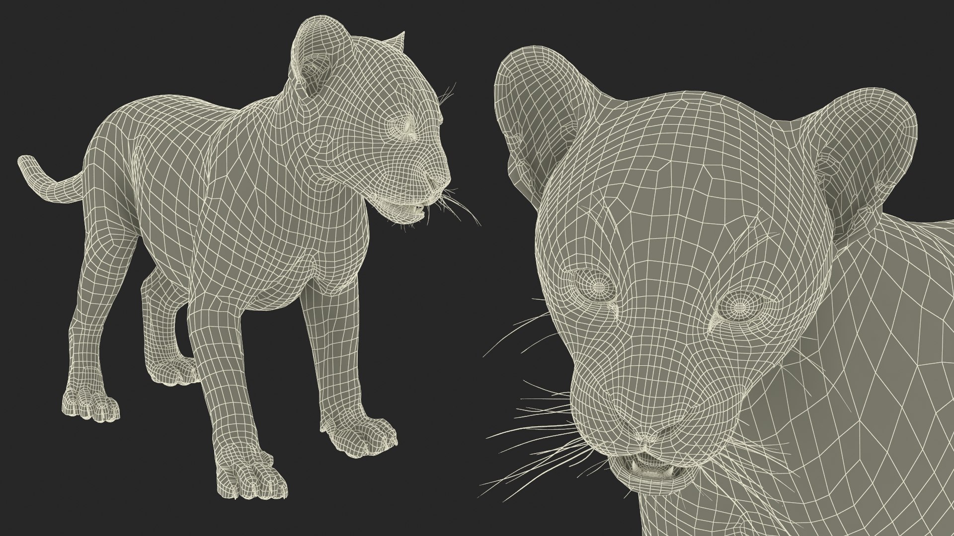 Baby Black Panther Cub 3D model https://p.turbosquid.com/ts-thumb/9L/d2Ks01/FH/baby_black_panther_cub_019/jpg/1736848842/1920x1080/fit_q87/74fd3a4a7f59e22bc94e6d5a333feba39ea8c496/baby_black_panther_cub_019.jpg