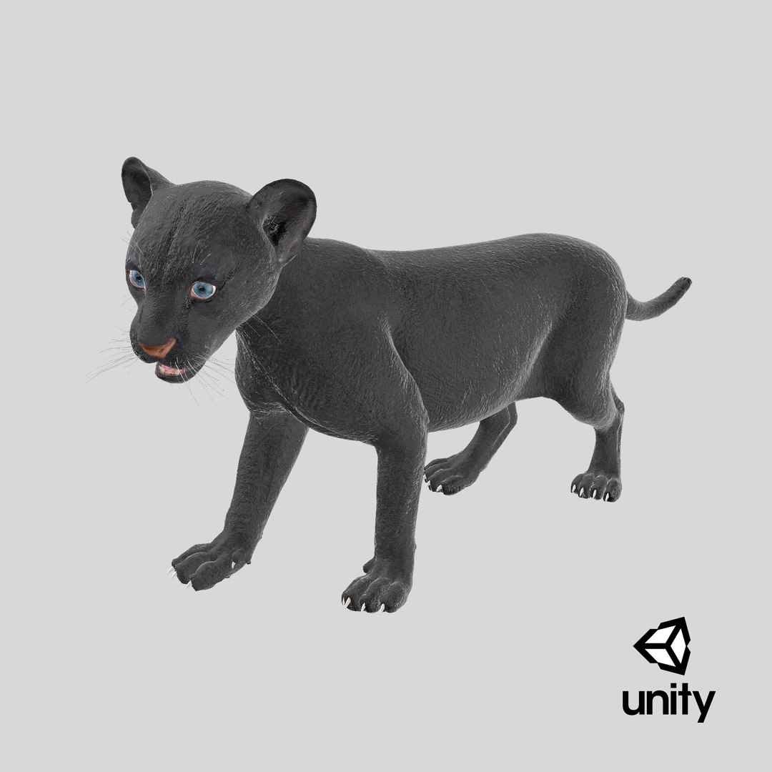 Baby Black Panther Cub 3D model https://p.turbosquid.com/ts-thumb/9L/d2Ks01/Jo/stemcell_unity_render/png/1739254985/1920x1080/fit_q87/9e2453afaefbd3c6b7fd9be320c853195a4f11a0/stemcell_unity_render.jpg
