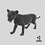 Baby Black Panther Cub