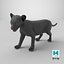 Baby Black Panther Cub