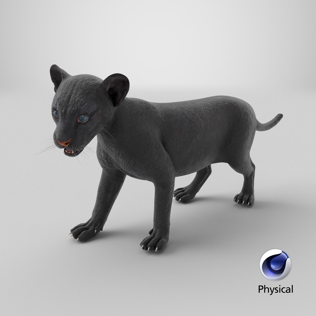 Baby Black Panther Cub 3D model https://p.turbosquid.com/ts-thumb/9L/d2Ks01/bG/stemcell_cinema_4d_physical_render/png/1739254979/1920x1080/fit_q87/54b2a8bbecddd8271a0bdfc3920aed035297fd58/stemcell_cinema_4d_physical_render.jpg