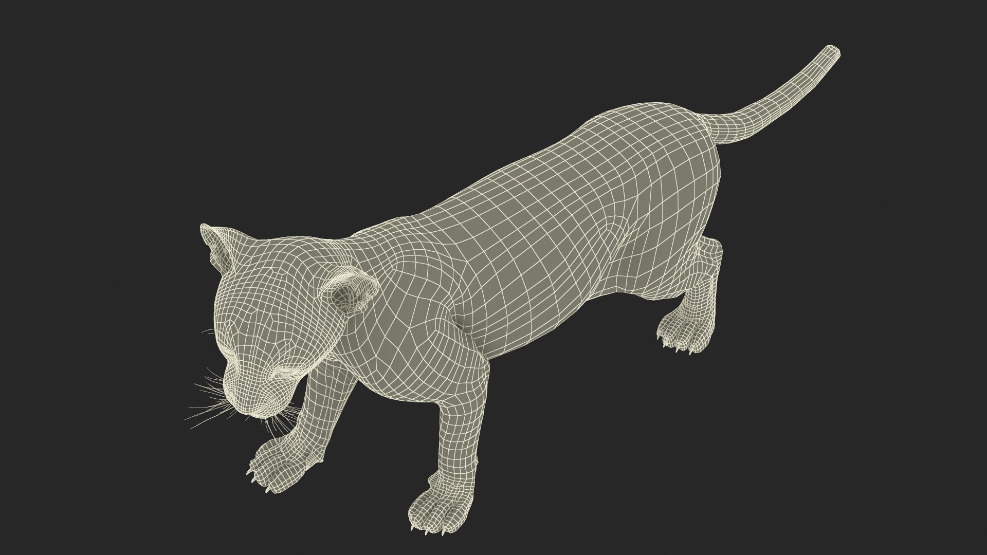 Baby Black Panther Cub 3D model https://p.turbosquid.com/ts-thumb/9L/d2Ks01/iK/baby_black_panther_cub_017/jpg/1736848831/1920x1080/fit_q87/8306cf763da864fcf20e9c8fdccdde587ff93bd5/baby_black_panther_cub_017.jpg