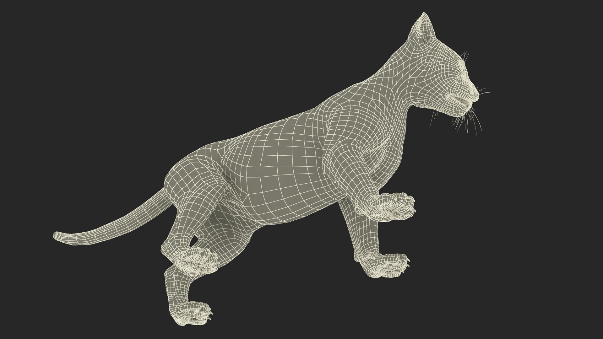 Baby Black Panther Cub 3D model https://p.turbosquid.com/ts-thumb/9L/d2Ks01/nW/baby_black_panther_cub_018/jpg/1736848837/1920x1080/fit_q87/10d2f708a575e17edc56a2faab8f8e8a7c2f72c7/baby_black_panther_cub_018.jpg