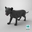 Baby Black Panther Cub