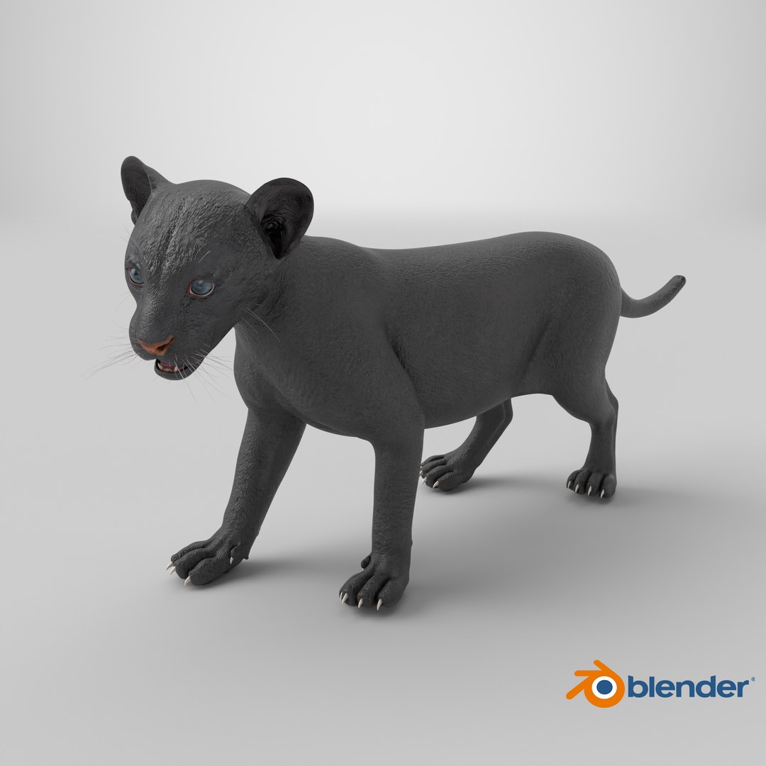 Baby Black Panther Cub 3D model https://p.turbosquid.com/ts-thumb/9L/d2Ks01/qG/stemcell_blender_cycles_render/png/1739254971/1920x1080/fit_q87/3dcaa06f7b4a9581004d3557b846933081fb22c4/stemcell_blender_cycles_render.jpg
