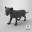 Baby Black Panther Cub