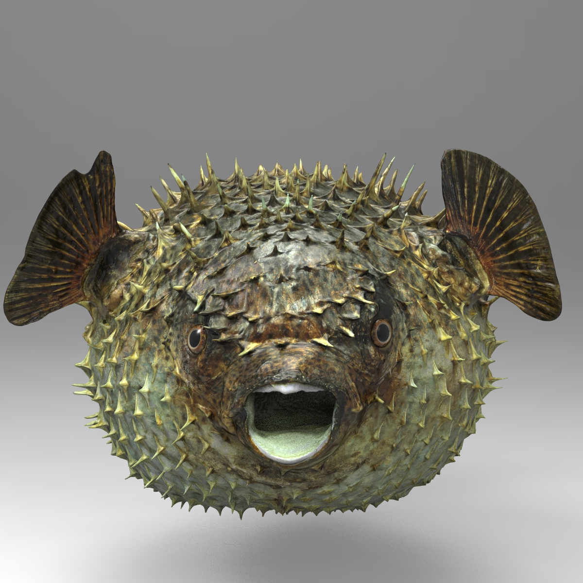 3d fugu fish model